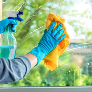 Professional Window Cleaning